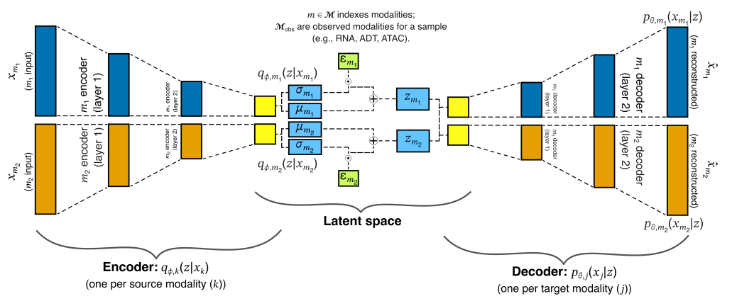 UniVI architecture: one encoder and one decoder per modality, joined through a shared latent space